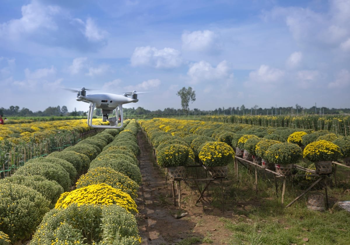 stella-systems-smart-agriculture-image